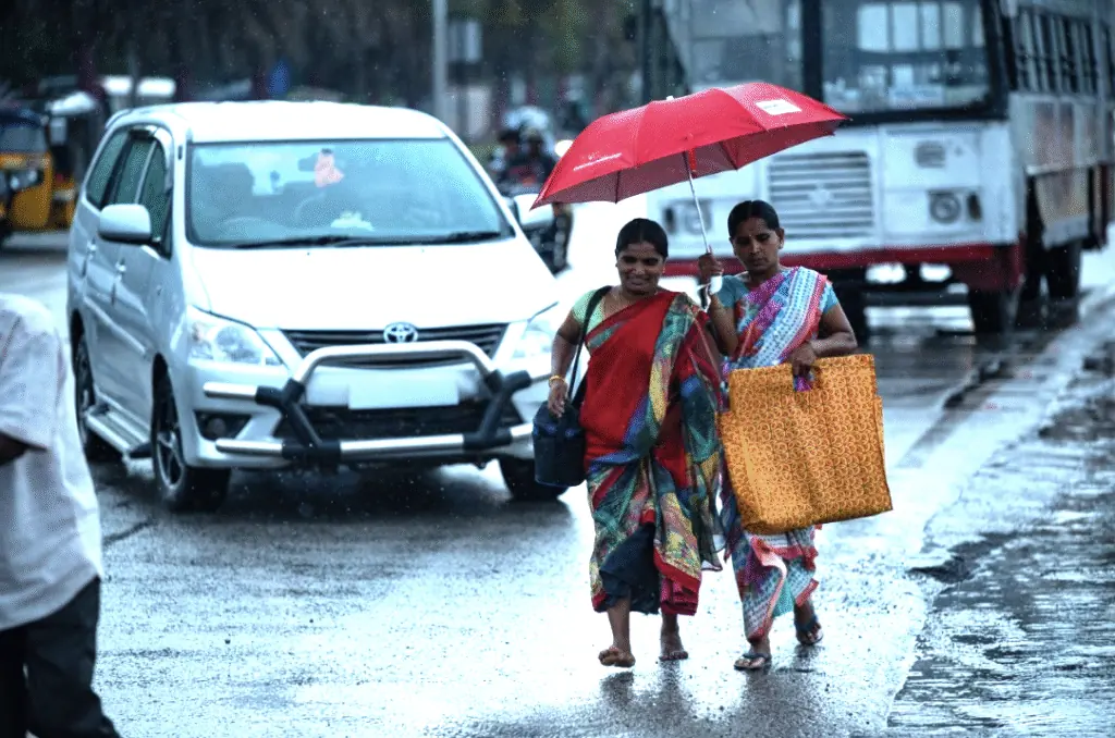 Beyond the Numbers: The Power of Gender-Disaggregated Data